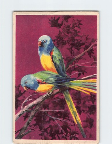 Postcard parrots painting - postcard,