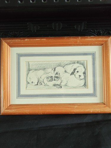 Vintage sealyham terrier - vintage,