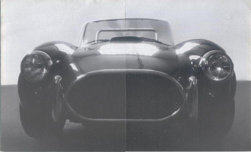 Hollmann ford cobra - hollmann,