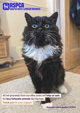 RAMSEY IS RETIRING IN COMFORT NOW THANKS TO RSPCA WIMBLEDON - PLEASE SUPPORT US!