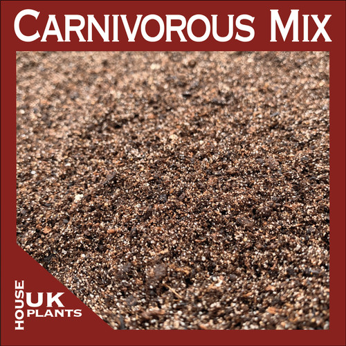 Carnivorous compost soil venus - carnivorous,