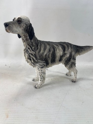 English setter dog - dog, fine