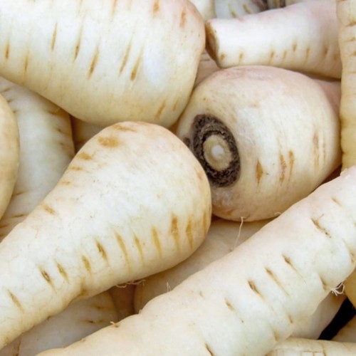 Parsnip tender and true - tender,