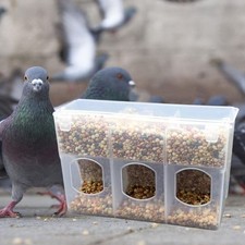 Hanging Bird Automatic Feeder