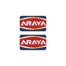 Araya rim decals - araya, rims