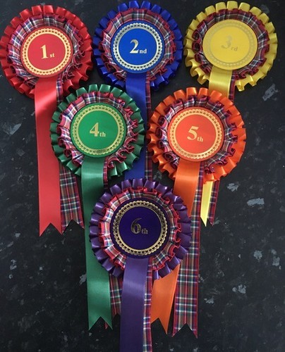 1st 6th tier tartan rosettes - 1st-6th, 2