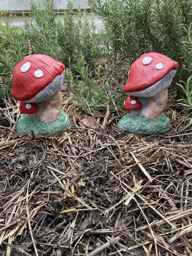 Mushroom toadstool stone - toadstool,