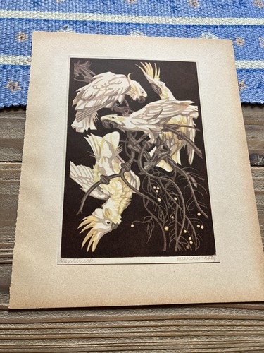 Bresslern roth cockatoos - bresslern,