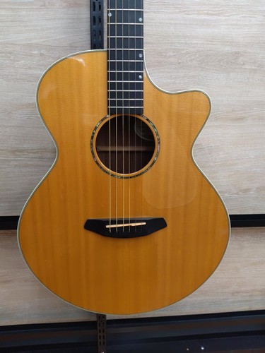 Breedlove premier auditorium - breedlove,