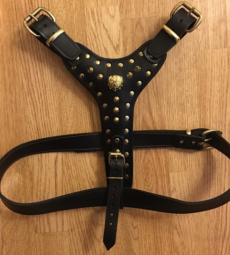 Rottweiler dog harness real - rottweiler,