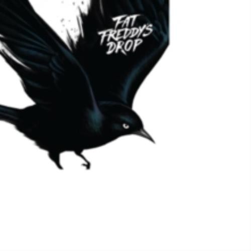 Fat freddys drop blackbird - blackbird,