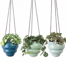 Burgon & Ball Hanging Pot Baby