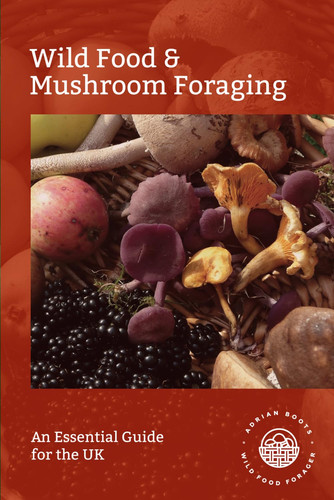 Wild food mushroom foraging - &,