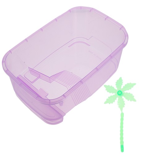 Set reptile feeding box - feeding,