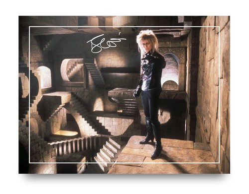 David bowie signed labyrinth - david,