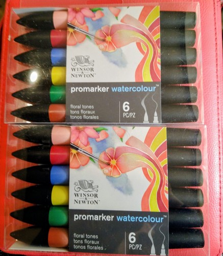 Winsor newton promarker - &,