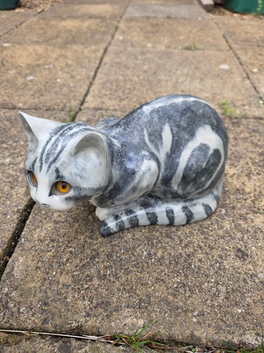 Small mike hinton - hinton, cat
