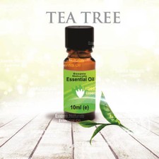 Tea Tree Essential Oil 10ml -