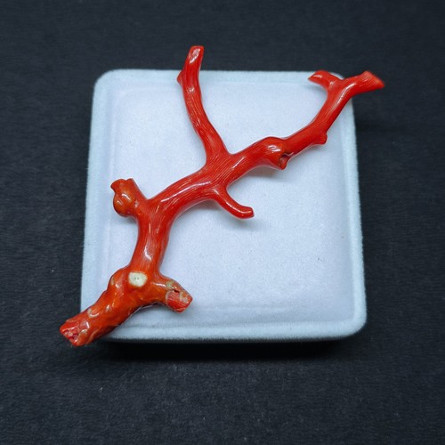 Vintage coral polish stick - polish,