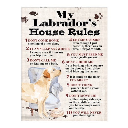 Labrador house rules dog - my, labrador's