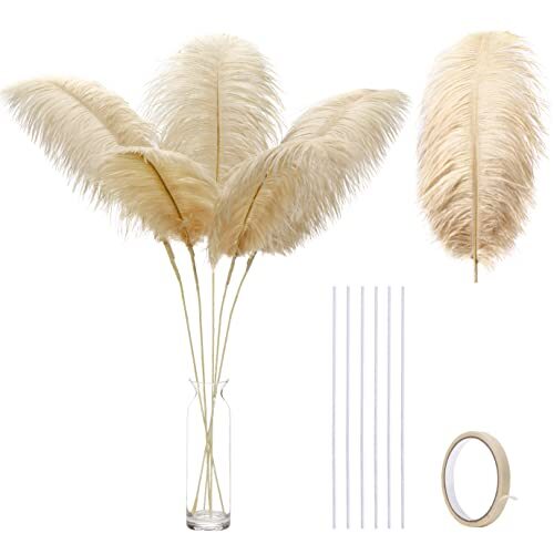 Large champagne ostrich - ,