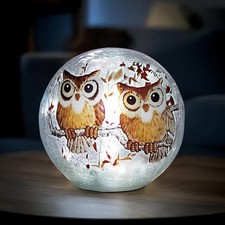 Owl LED Globe Light Decoration