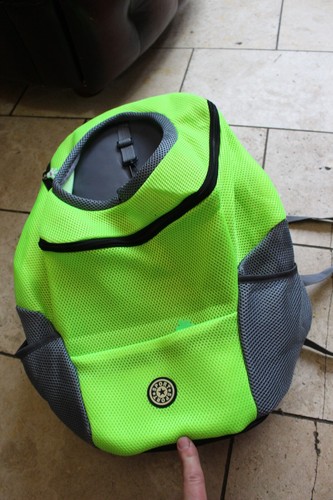 Lime green sports equipment - lime,