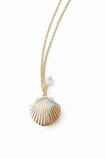 Cute little sea - cute, shell
