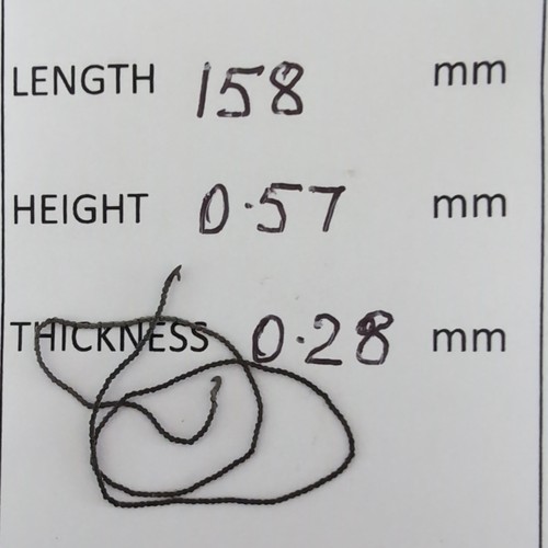 Fusee chain length 158 mm - chain.,