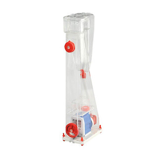 Bubble magus protein - bubble,