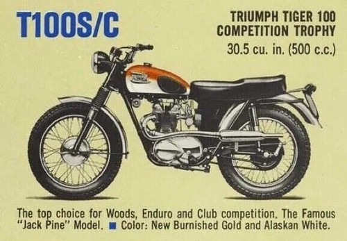 1965 triumph t100sc - 1965,