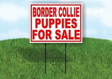 Border Collie PUPPIES FOR SALE