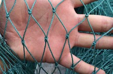 Dog Fence Rabbit Fence Rabbit