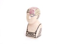 Antique Style Small Phrenology