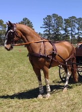 Leaders Leather Presentation