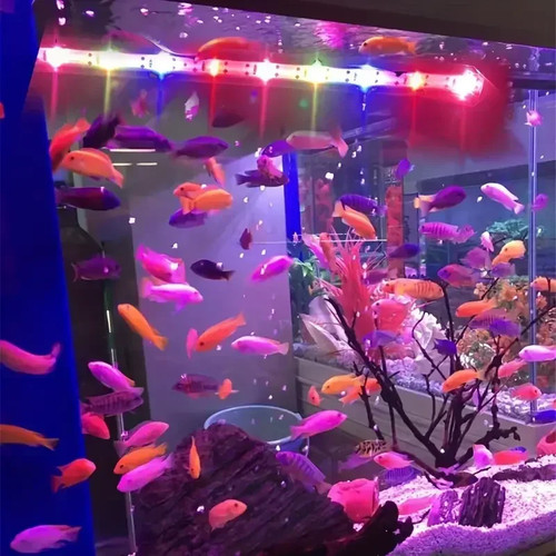 Usb led aquarium fish tank - usb,