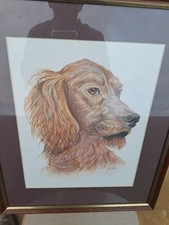 Original Picture Red Setter Pencil and Crayon Hand Drawn