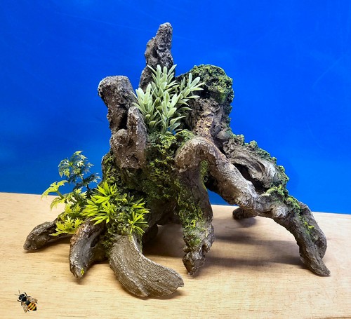 Driftwood root plants - plants, aquarium