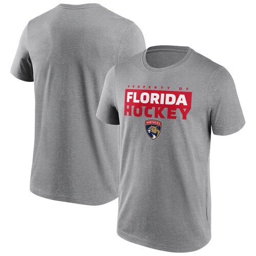 Florida panthers gain ground - florida,