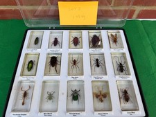 National Geographic Real Life