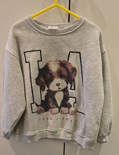 Zara puppy kids sweatshirt - puppy,