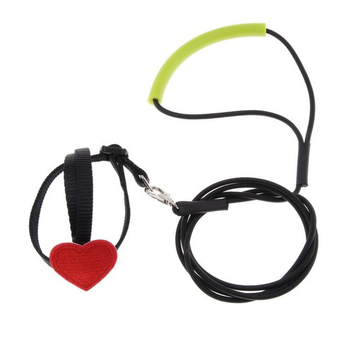 Parrot harness leash pet rope - pet,