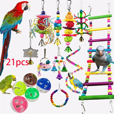 21 Pack Parrot Toys Set Metal