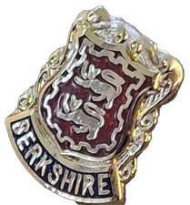 Berkshire County Small Pin