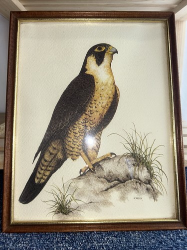 22x27 cms 1930s - ,