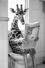 Framed or Print Only Bathroom