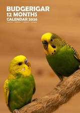 Budgerigars 2026 Calendar