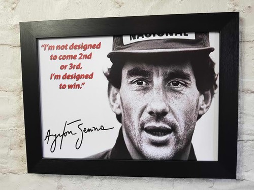 Ayrton senna reproduction - ayrton,