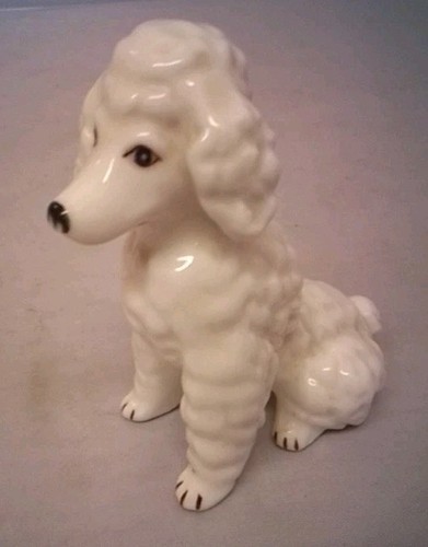 Vintage white poodle - , sitting