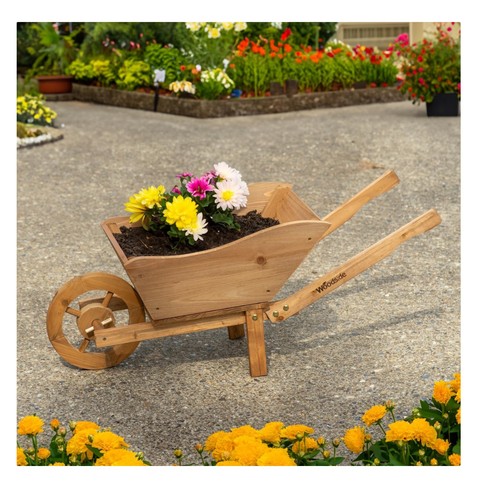 Wooden garden plant - wooden,